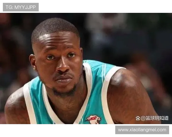 特里罗齐尔如何在NBA赛场上展现个人风采与团队价值