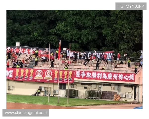 广州乒乓球队实力引发热议球迷与专家观点交锋解析